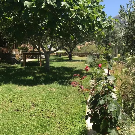 To Palio بيت ضيافة